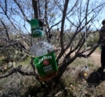 The Whiskey Tree on the His N Her trail.